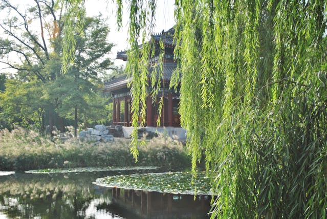 bachove cvetne esence