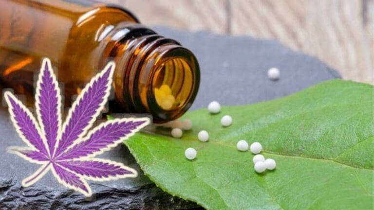 homeopatija konoplja