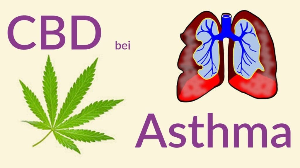 asthma cbd
