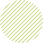 home-store-element-5